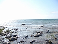 Western Michigan [2010] 813